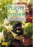 Plante de interior