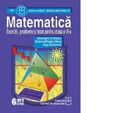 Matematica - exercitii, probleme si teste pentru clasa a VI-a