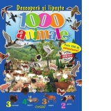 Descopera si lipeste - 1000 animale