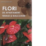 Flori de apartament, terase si balcoane