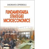 Fundamentarea strategiei microeconomice