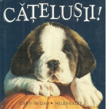 Catelusii