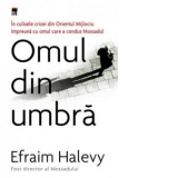 Omul din umbra