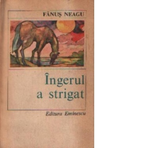 Ingerul a strigat - Roman