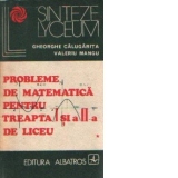 Probleme de matematica pentru treapta I si a-II-a de liceu, Volumul I