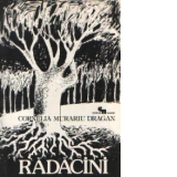 Radacini - Simple povestiri