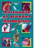 Animale si pasari domestice - Citeste si coloreaza