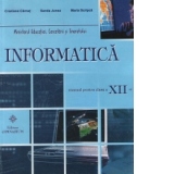 Informatica - manual pentru clasa a XII-a