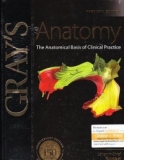 Gray s Atlas of Anatomy - The Anatomical Basis of Clinical Practice (Fortieth Edition)