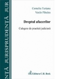 Dreptul afacerilor. Culegere de practica judiciara