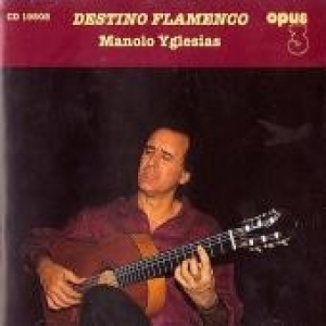 Destino Flamenco