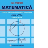 Matematica. Exercitii si probleme de algebra si geometrie, clasa a VII-a, semestrul II