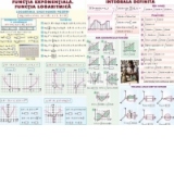 Functia exponentiala. Functia logaritmica / Integrala definita (duo)