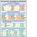 Adjective/Cardinal numerals (duo)