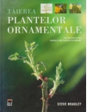 Taierea plantelor ornamentale