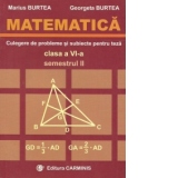 Matematica. Culegere de probleme si subiecte pentru teza, clasa a VI-a, semestrul II