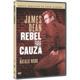 REBEL FARA CAUZA