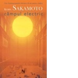 Campul electric