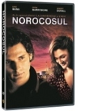 Norocosul