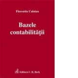 Bazele contabilitatii