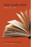 How Novels Work