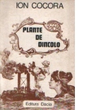 Plante de dincolo