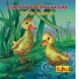 Cunostinte despre natura - Pui de animale